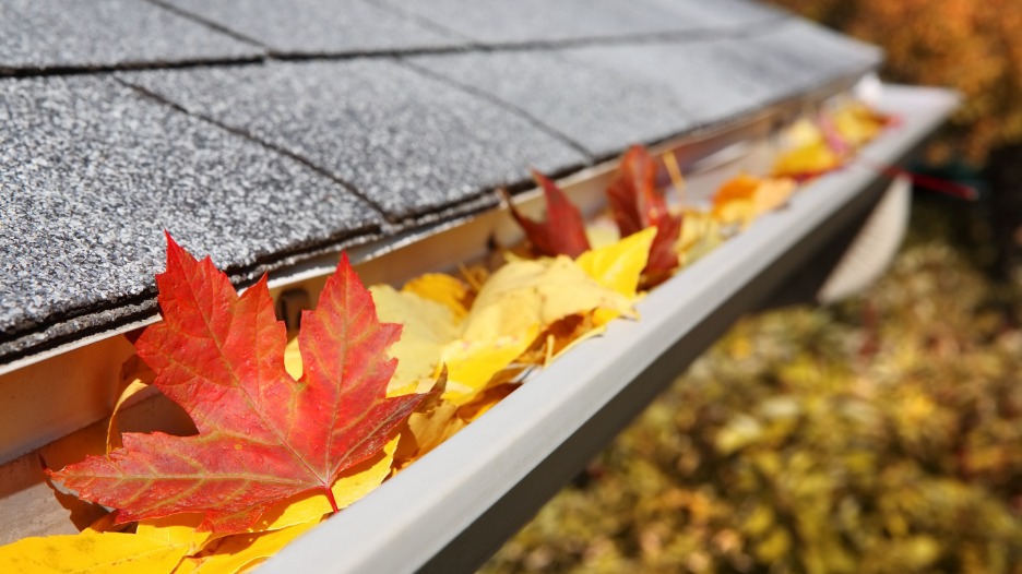 Insights into Eavestroughs and Gutters for Homeowners